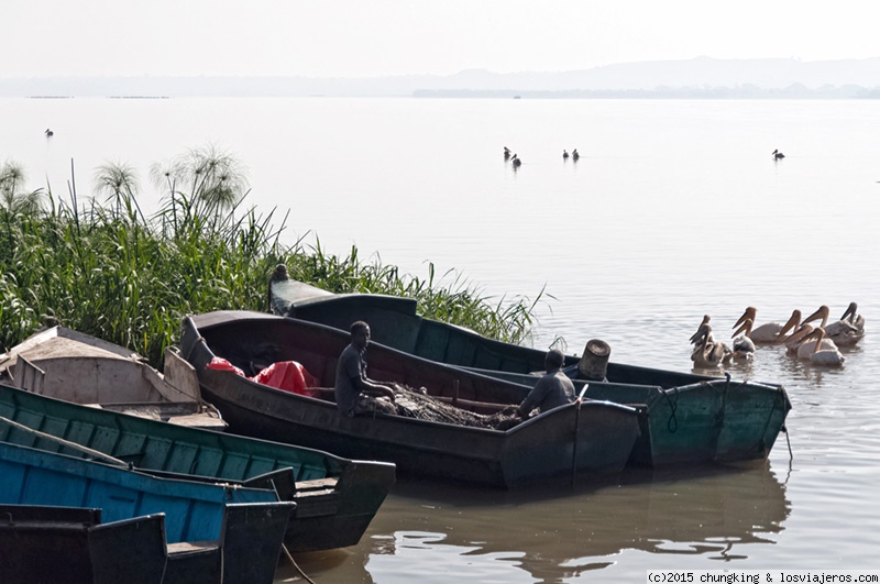 Foro de Lago Tana: Barcas y papiros en el lago tana