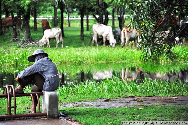 la pastora de Sukhothai
pastora y su ganado entre las ruinas de Sukhothai
