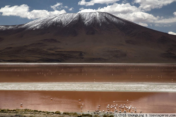 laguna colorada
laguna colorada a 4000 metros de altitud en el sur de bolivia.
