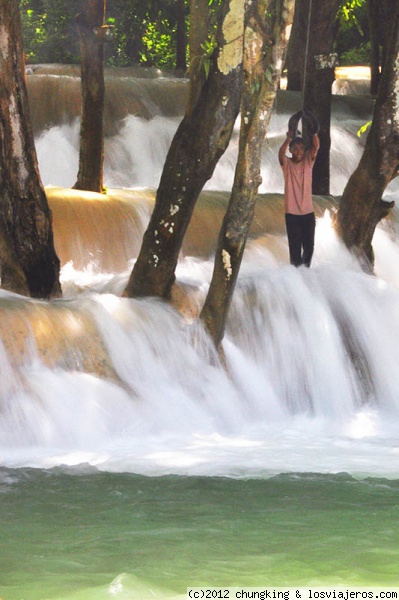 juegos en las cascadas de Tad Sae de Luang Prabang
chaval entre las cascadas a punto de lanzarse al agua
