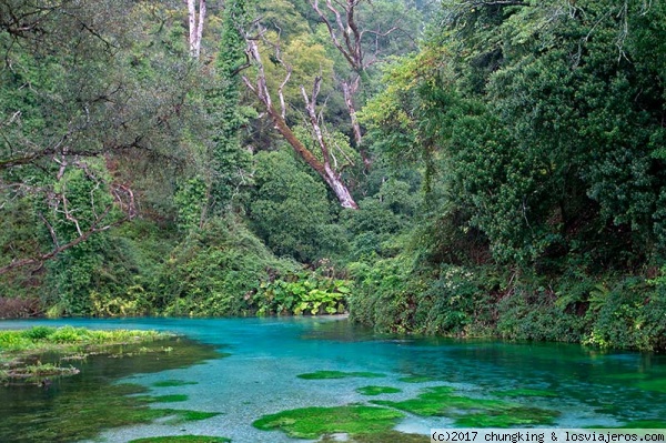 río Bistrica a escasos metros de su fuente
río Bistrica a escasos metros de su fuente, el Ojo Azul en Saranda
