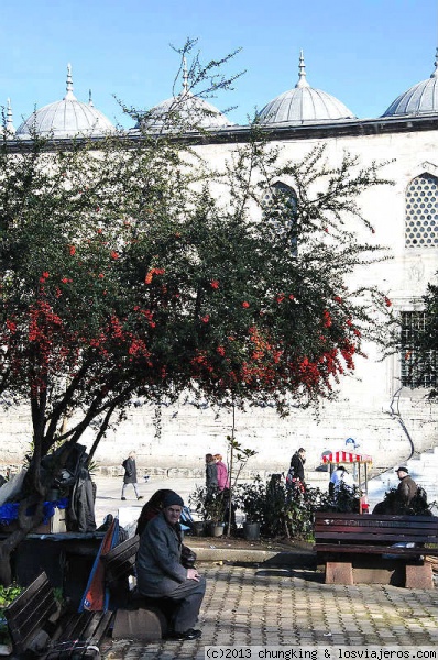 plazoleta en la mezquita nueva de Eminonu
plazoleta en la mezquita nueva de Eminonu
