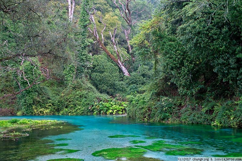 Viajar a  Albania: Tirana - río Bistrica a escasos metros de su fuente (Tirana)