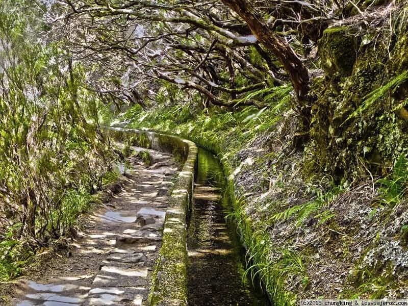 Foro de Comer En Madeira: Levada 25 fontes