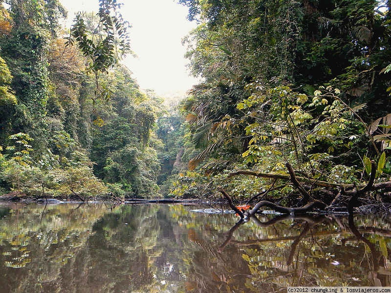 Opiniones Tortuguero Parque Nacional en Centroamérica y México: Canal de la laguna parque nacional tortuguero