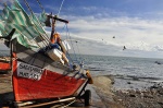 La recurrente barca pesquera - Piriápolis
paisaje poblado pesquero Piriápolis Uruguay