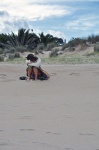 girl in Piriápolis beach Uruguay