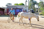 el tráfico de Val¡zas
ciclista caballo Valizas Uruguay