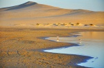 dune and water on the way to Polonio cape