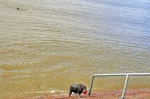 imagen de la playa de Pocitos
Pocitos Montevideo