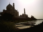 el trasero del Taj Mahal
el taj mahal visto desde detrás