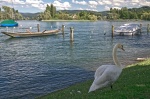 orillas del Rin en Stein am Rhein