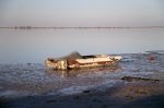 Boat in Djerba