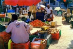 verduleros mercado de tarim