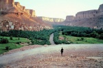 wadi dawan yemen