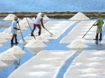 salinas en Marsala