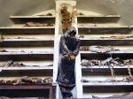 Catacombs of the Capuchins. Palermo