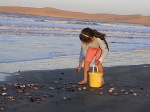 niña recogiendo conchas en la playa de Valizas
niña conchas playa Valizas