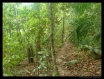 Jungle Trekking del hotel Mama's Place a la zona del Tuna Bay, en Perhentian Besar