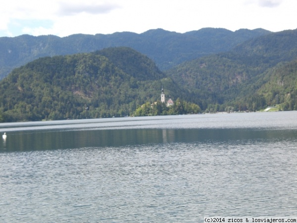 Bled: Un lago con mucho glamour. - ESLOVENIA: 10 NOCHES EN EL PAÍS MÁS BONITO DEL MUNDO (1)