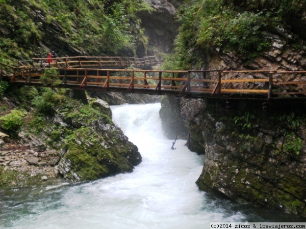 ESLOVENIA: 10 NOCHES EN EL PAÍS MÁS BONITO DEL MUNDO - Blogs de Eslovenia - Garganta Vintgar (Soteska Vintgar) (14)