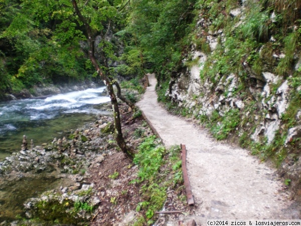 ESLOVENIA: 10 NOCHES EN EL PAÍS MÁS BONITO DEL MUNDO - Blogs de Eslovenia - Garganta Vintgar (Soteska Vintgar) (5)