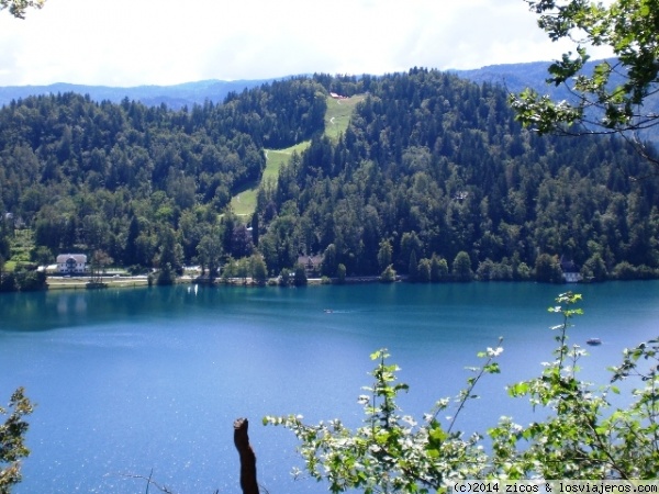 Bled: Un lago con mucho glamour. - ESLOVENIA: 10 NOCHES EN EL PAÍS MÁS BONITO DEL MUNDO (7)