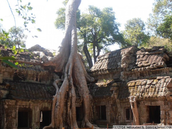 Templo Ta Prohm
Uno de los mas famosos templos de Angkor. En este templo se rodaron escenas de la pelicula de Tomb Raider.
