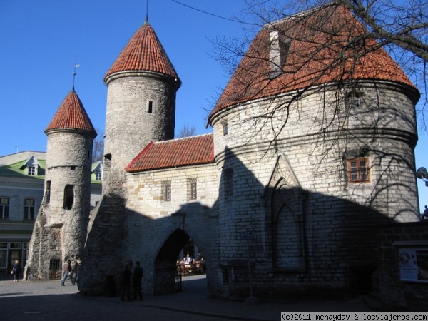 Puerta en Tallin
Esta es una de las puertas de la antigua muralla mejor conservadas.
