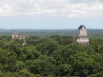 Tikal vista
Tikal Maya Guatemala Ruinas