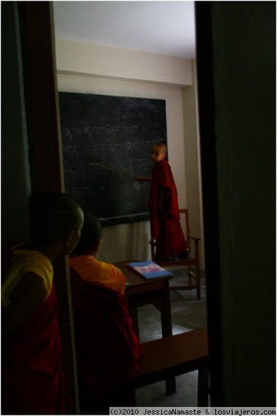 APRENDIZAJE TIBETANO, Bellezas de Kathmandu
Niños tibetanos aprendiendo sus oraciones en la escuela en el valle de Kathmandú. Es curioso lo concentrados que están que ni siquiera se distrajeron con nuestra presencia.
