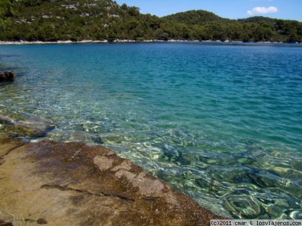 PARQUE NACIONAL DE MLJET
EN LOS LAGOS QUE FORMAN ESTE PRECIOSO PARQUE NACIONAL PODEMOS ENCONTRAR RINCONES DE ENSUEÑO DÓNDE PODER BAÑARNOS CON MUCHA TRANQUILIDAD
