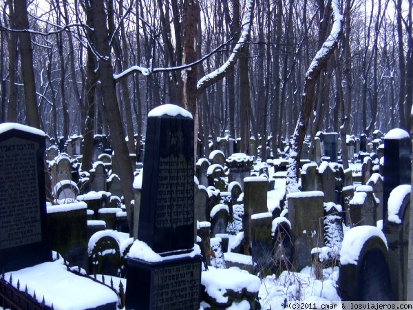 Cementerio judío de Varsovia
escalofriante imagen del extenso cementerio judío de Varsovia. Pasear por este cementerio, bajo un silencio atroz y bajo un viento helador es una experiencia no apta para cardíacos.
