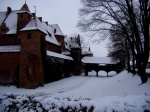 Castillo de Malbork I