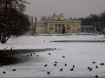 Palacio sobre el agua
Palacio, Lazienski, Varsovia, sobre, agua, palacio, situado, dentro, parque, utilizado, como, residencia, verano, reyes, polacos, aunque, imagen, traslada, invierno, gran, lago, bordea, encuentra, espesa, capa, nieve