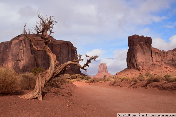 Naturaleza Muerta
La belleza de lo yermo. Ocres, rojos y azules en Monument Valley - Arizona.
