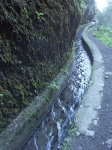 Caminos del agua
La Palma Nacientes Marcos Cordero