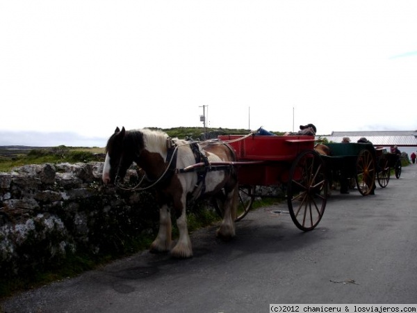 Carro con poni
Carro con poni en Inishmore, Islas Aran, Condado de Galway
