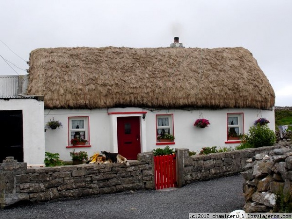 Cottage y perro
Cottage y perro (creo que es un Border Collie) en Inishmore, Islas Aran, Condado de Galway
