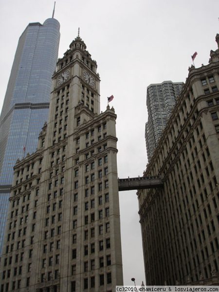 Chicago Trump Wrigley
Torre Trump y Edificio Wrigley
