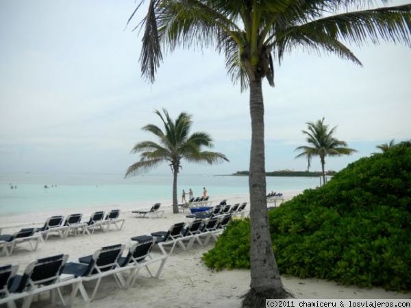 Día nublado en la playa
Día nublado en la Playa. Riviera Maya
