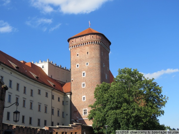 Castillo de Wawel. Cracovia
Castillo de Wawel. Cracovia
