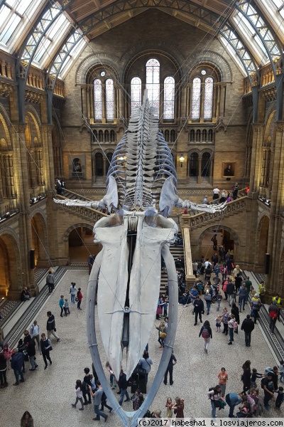 LONDRES asequible para familias - Blogs de Reino Unido - Notting Hill, Museo de Historia Natural y una cena en la selva (2)