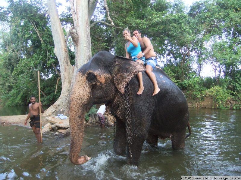 Quince días en tuktuk por Sri Lanka