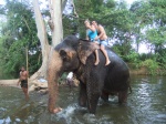 SRI LANKA, TRAS LA HUELLA DE BUDA!!
Sri Lanka, tierra de elefantes sagrados!