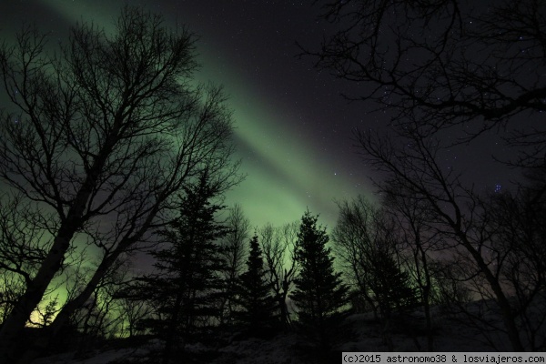 Luces del norte, Noruega 2015
Aurora sobe la isla de Kvaloya, en Noruega, el pasado 11 de diciembre de 2015
