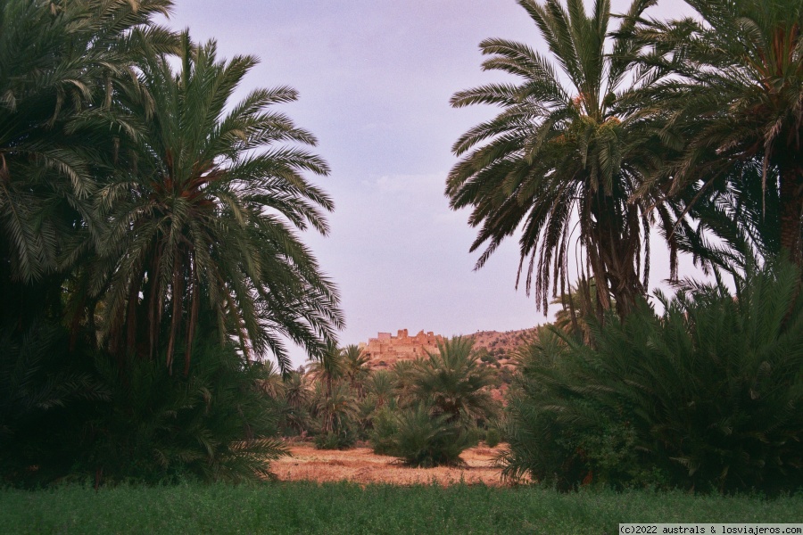 El Palmeral de Tioute (Taroudant)