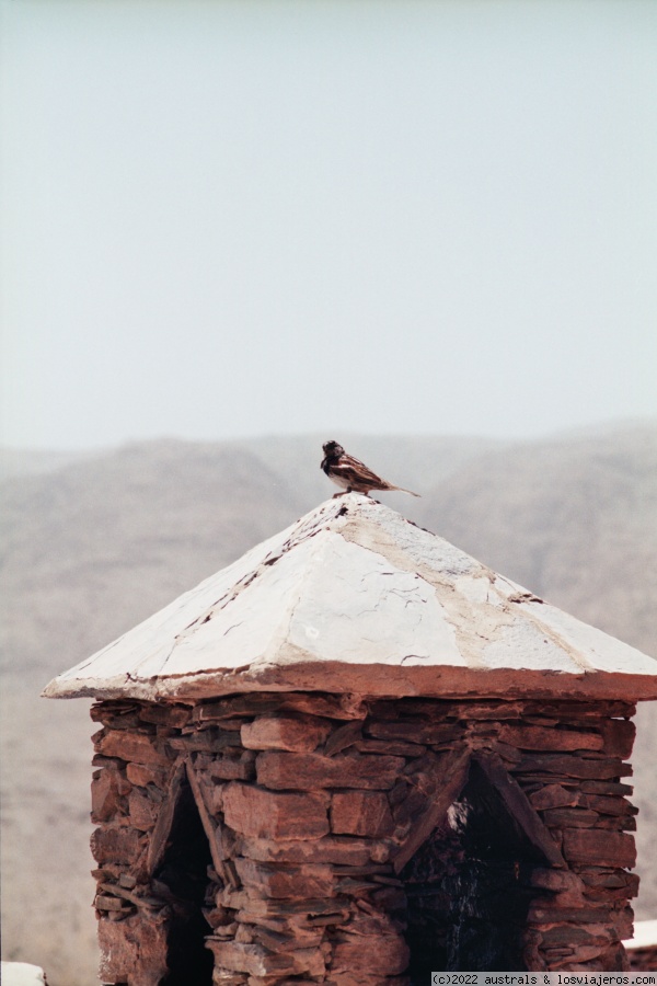 Historia : La Kasbah de Tizourgane, Ruta-Marruecos (3)