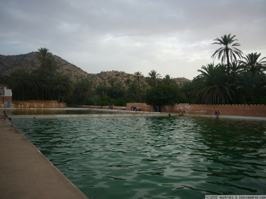 El Palmeral de Tioute (Taroudant), Naturaleza-Marruecos (4)