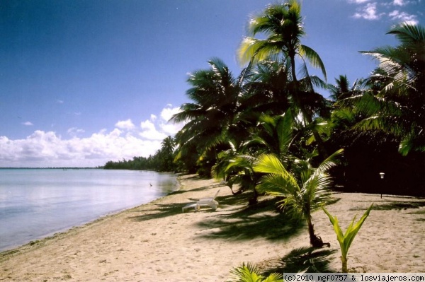 Playa en el Motu pitiaau. Bora Bora
Playa a orillas del hotel Eden Beach. Motu Pitiaau. Bora Bora
